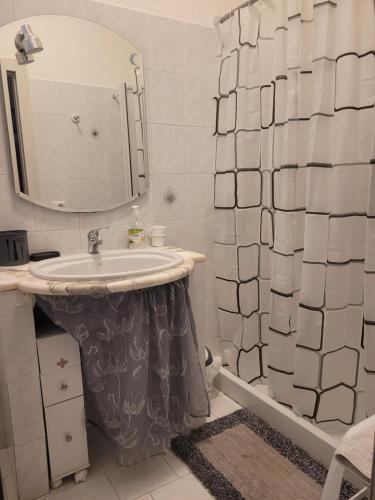 une salle de bain avec un lavabo et une douche avec un miroir dans l'établissement OLdBIA, à Olbia