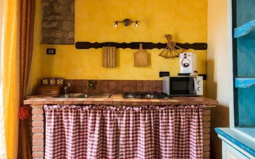 a kitchen with a counter top with a microwave at Villa Dallara in Rignano sullʼArno