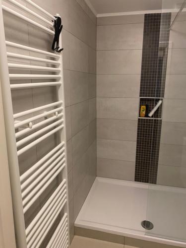 a shower with a glass door in a bathroom at Résidence Basilic in Grâce-Hollogne