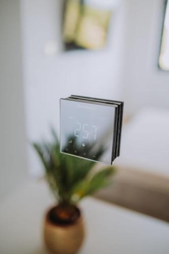 a mirror in a vase on a table with a plant at Villa Mars in Mandre