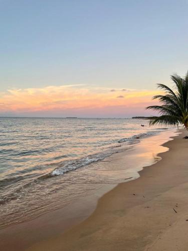 a beach with a palm tree and the ocean at Villagio Di Mare in Marau