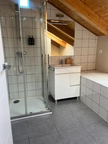 a bathroom with a shower and a sink at La Casona del Asno in Alcalá de Henares
