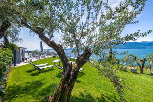 a park with a bench and a tree at Sky View Garda Lake by Hotel Galvani in Torri del Benaco