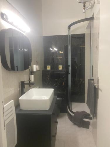 une salle de bain avec un lavabo et une douche dans l'établissement T2 Marché de Bastia, à Bastia