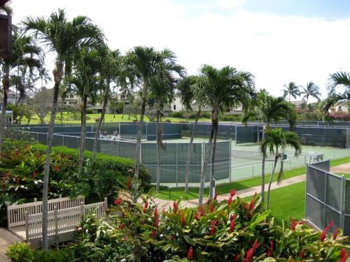 a tennis court with palm trees in the background at Kahala 413 in Koloa