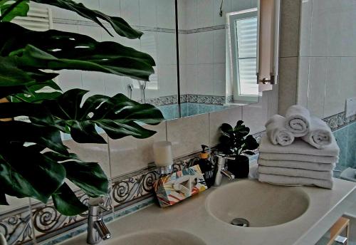 a bathroom with a sink with a mirror and a plant at Ferienwohnung Ingolstadt Eichstätt Altmühltal in Eitensheim