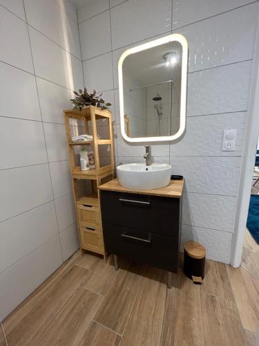 une salle de bain avec un lavabo et un miroir dans l'établissement Julia Amnéville proximité A31 Thermes Lux, à Amnéville