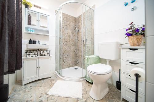 a bathroom with a toilet and a shower at Rooms Nona Albina in Rab