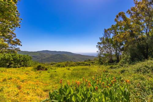 Naturlandskabet i nærheden af villaen