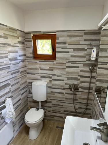 a bathroom with a toilet and a sink at Casuta MARI in Săldăbagiu de Munte