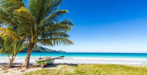 a boat sitting on the beach next to a palm tree at Hostel La Ballena Backpacker in Las Galeras