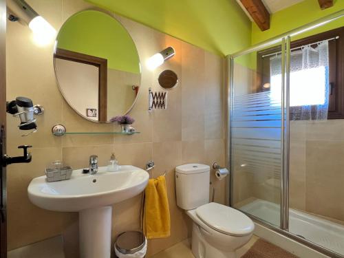 ein Badezimmer mit Waschbecken, Toilette und Dusche in der Unterkunft Casa Rural Acebal in Santurde