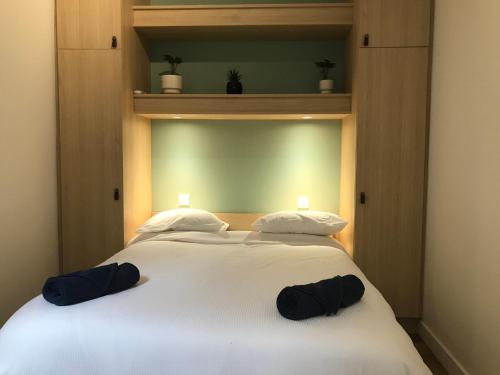 un grand lit blanc avec deux oreillers dessus dans l'établissement LE LARBAUD - Hypercentre - Clim - Thermes- RDC, à Vichy