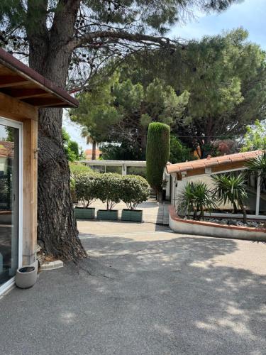 un grand arbre installé à côté d'un bâtiment avec des arbres dans l'établissement Charme design et confort, à Le Soler