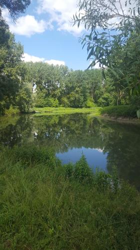 a pond of water with trees in the background at Gîte Angers proche in Briollay