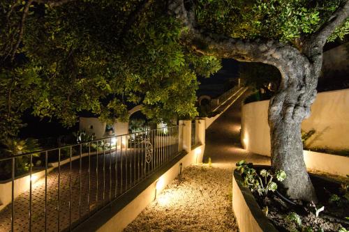 a tree and a fence at night with lights at Residence Montelci in Mattinata