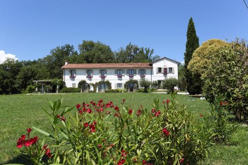 Gallery image of Ca'Vittoria - Prosecco Experience - Unesco in Conegliano