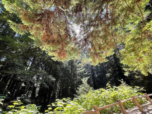 別荘の近くで見られる自然の景観