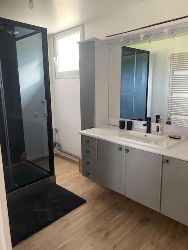 une salle de bain avec une douche, un lavabo et un miroir dans l'établissement Gîte le Lavoir, à Oger