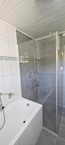 Un baño con ducha con puerta de cristal. en Haus Adler, en Gröbming