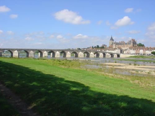 a bridge over a river with buildings in the background at Logis Hôtel Le Rivage in Gien