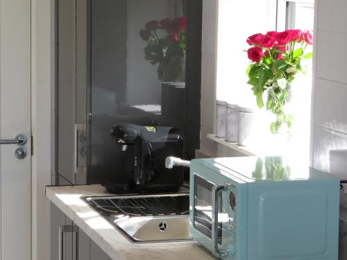 a kitchen counter with a coffee maker and a sink at Islandcorr Farm Luxury Glamping Lodges and Self Catering Cottage, Giant's Causeway in Bushmills
