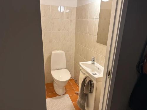 a small bathroom with a toilet and a sink at Villa i lugnt område nära hav in Ystad