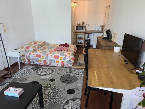 a living room with a bed and a table at Chez les P'tits loups in Strasbourg