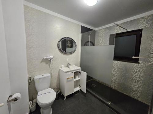 a bathroom with a toilet and a sink and a tv at Analeya in Eforie Nord