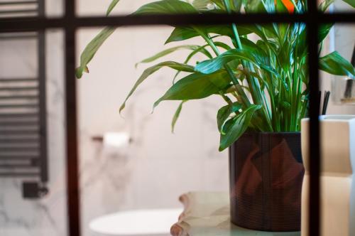 a plant in a vase sitting on a table at Bosham - private and self-contained double garden room in Chichester