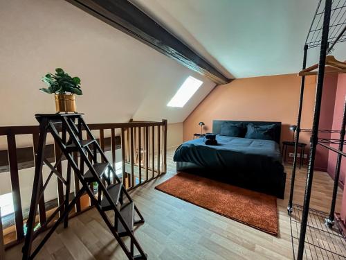a bedroom with a bed and a ladder in a room at Casa Andrea - Hypercentre & climatisation in Metz