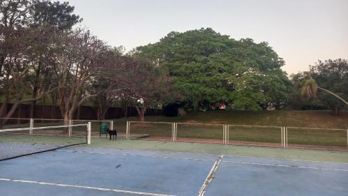 a dog is standing on a tennis court at Casa muy cómoda Santa Cruz in Santa Cruz de la Sierra