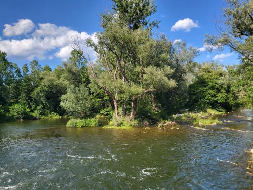 a river with trees on the side of it at HOTEL PASTERAL RIU TER in La Cellera de Ter