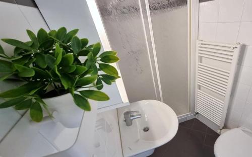 a bathroom with a toilet and a potted plant at Last Minute Booking in Peschiera del Garda