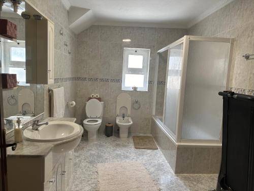 a bathroom with a sink and a toilet and a shower at Sweet Home in Miranda do Douro