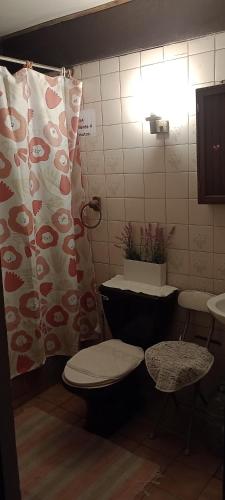 a bathroom with a toilet and a sink at Habitaciones Florencia in La Serena