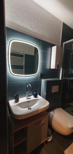 une salle de bain avec un lavabo et des toilettes dans l'établissement Moderne Ferienwohnung in Hahnenklee, à Hahnenklee