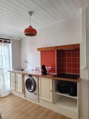 une cuisine avec une machine à laver sous un comptoir dans l'établissement Appartement République - Centre historique Perpignan, à Perpignan