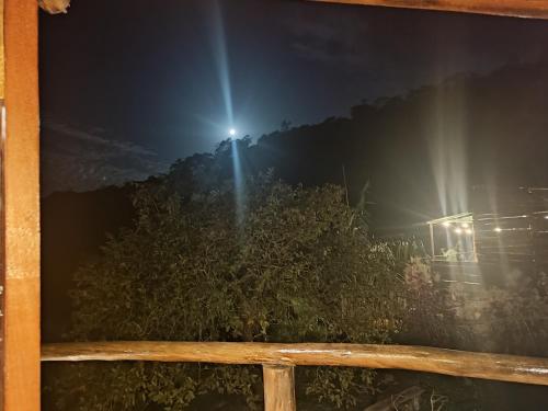 a window view of a bush at night at Lago 7 Cores in Tapiraí