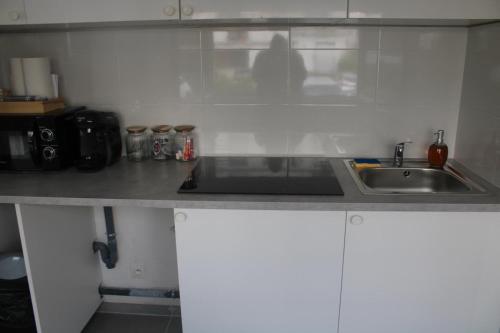 une cuisine avec un évier et un plan de travail dans l'établissement Studio, à Livry-Gargan