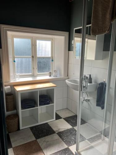 a bathroom with a sink and a shower at Haseldorfer Landliebe in Haseldorf