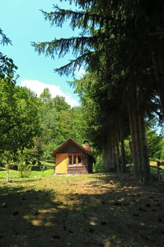 デスポトヴァツにあるPlaninska kuća Palačinkaの木の小屋