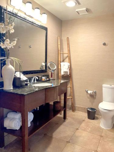 a bathroom with a sink and a mirror and a toilet at Blue Dolphin Inn in Cambria