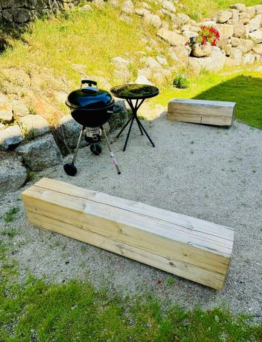 a bbq and a grill and a picnic table at Stará Škola Mariánská in Albrechtice v Jizerských horách
