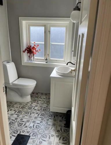 a bathroom with a toilet and a sink and a window at Cozy Central House in Sandefjord