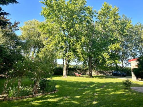 a green yard with trees and a car parked at Le domaine de Brie in Châtillon-la-Borde