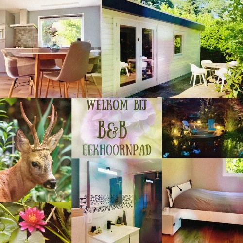 a collage of pictures of a bedroom and a bed and a house at B&B Eekhoornpad in Tilburg