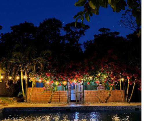 a garden lit up at night with christmas lights at CHOCLINO ECOLODGE -Bungalows con Piscina privada, Mirador y Tours en la selva in Tarapoto