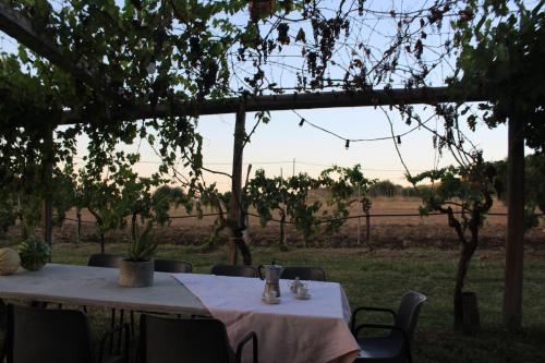 two tables sitting under a pergola in a field at La Casa nell'Orto in Fermo