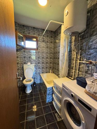 a bathroom with a toilet and a sink and a washing machine at Nikolija in Žabljak